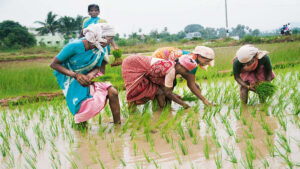 प्रधानमंत्री किसान संपदा योजना