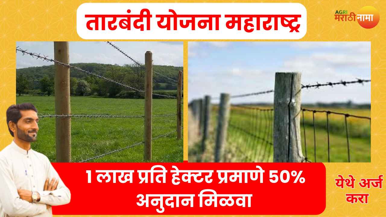 TARBANDI YOJANA