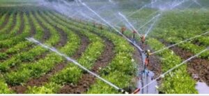 mukhyamantri shashwat krishi sinchan yojana