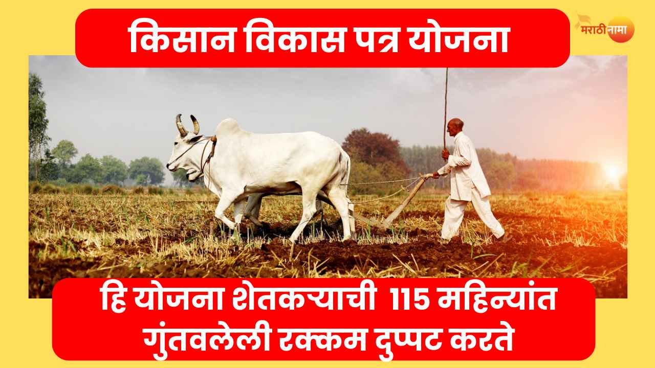 किसान विकास पत्र योजना | Kisan Vikas Patra Yojana 2023 - Marathinama Agri